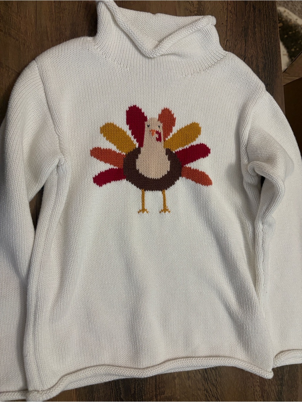 Mud Pie Boys turtleneck sweater with Turkey